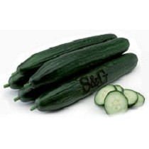 Semillas de Pepino Holands