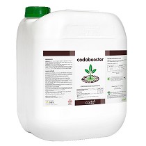 cidos hmicos y flvicos