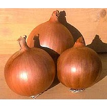 Semillas de Cebolla dia largo