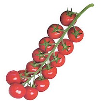 Semillas deTomate cherry redondo