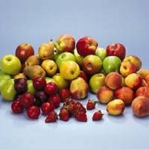 Fertilizantes granulares concentrados Kalisop granular