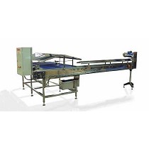 Lneas de pulmn, transportes y elevadores