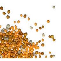 Fertilizantes microgranulados Everris Mini Start