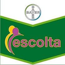 Fungicidas Bayer Escolta