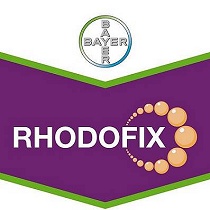 Reguladores de crecimiento Bayer Rhodofix