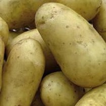 Fertilizantes granulares simples Patentkali