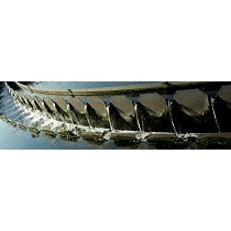 Controladores de olores