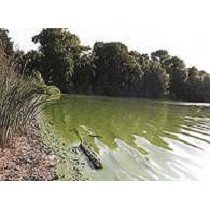 Controladores de olores