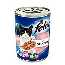 Latas de salm�n y trucha para gatos