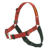 Arns de adiestramiento