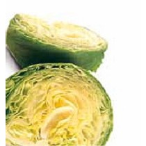 Semillas de ensalada iceberg