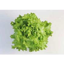 Semillas de ensalada