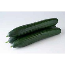 Semillas de Pepino Holands