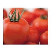 Semillas de Tomates