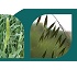 Herbicidas selectivos Sapec Agro Arsol
