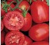 Semillas de tomate de industria Syngenta Simplex