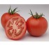 Semillas de tomate de calibre medio Syngenta Invictus