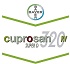 Fungicidas Bayer Cuprosan 320 super D RV
