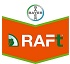 Herbicidas Bayer Raft