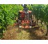 Chasis Bio con intercepas Industrias David Bio