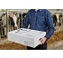 Envases para carnes