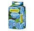 Substratos para hortensias azules Floragard 