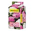Substratos para hortensias rosadas y blancas Floragard 