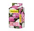 Sustratos especiales para hortensias Floragard 122911