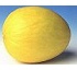 Melón Amarillo
