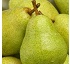 Pera limonera 