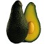 Aguacate Pinkerton 