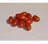 Tomate 