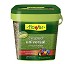 Semillas para plantar csped Flower Semillas csped universal