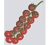 Semillas de tomate Cherry Redondo Diamond Seeds Kirill F1