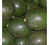 Aguacates Reed