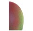 Mangos Keitt