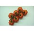 Tomates en rama de Almera Vicasol 