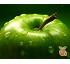 Manzanas 
