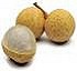 Longan Isla Bonita 