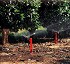Microaspersor 2002 AquaSmart 