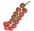 Semillas deTomate cherry redondo Diamond Seeds Kirill F1