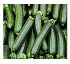 Pepinos Hortoflor2 cucumis sativus
