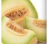 Melones Hortiberia Galia