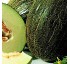 Melones Hortiberia Verde