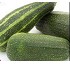 Calabacines Hortiberia Sofia y Samara