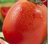 Tomates Hortiberia Pera
