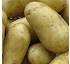 Fertilizantes granulares simples Patentkali