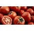 Fertilizantes Yara YaraLiva