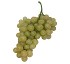 Uvas blancas con pepitas Uvasdoce 