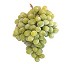 Uvas blancas sin pepitas Uvasdoce 